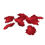 Red Petals
