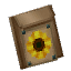 Sunflower Seed Bag
