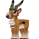 Antelope