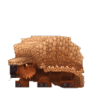 Armadillo