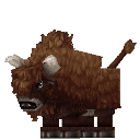 Bison