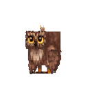 Brown Owl