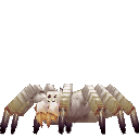 Cave Spider